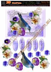 Blue bird multi sentiment pansies
