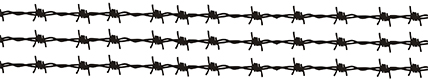 Barbed Wire Bulk Approx 300 mm x 5