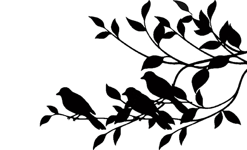 Birds on a branch  220x160